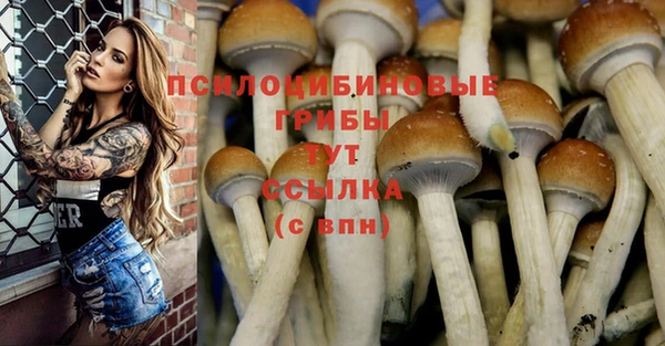 МДПВ Вязьма