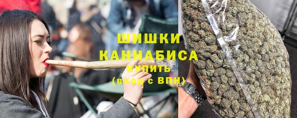молекула духа Волосово