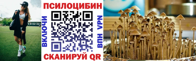 Купить закладки  Бузулук  Псилоцибиновые грибы мицелий 