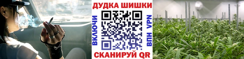 Шишки марихуана план  Купить где  Бузулук 